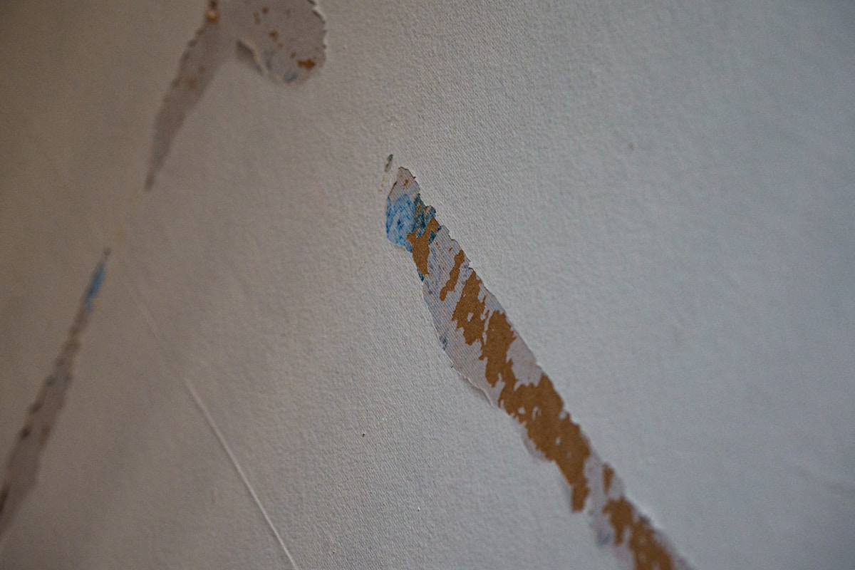 Flood Cleanup service in Arvada, CO